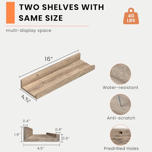 Picture Ledge Shelf (2 Count)