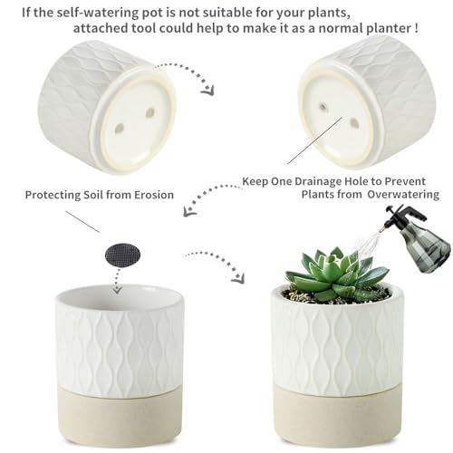Ceramic Self Watering Plant Pot for Indoor Plants