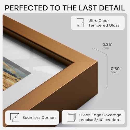 8x24 Bronze Panoramic Picture Frame (3 Count)