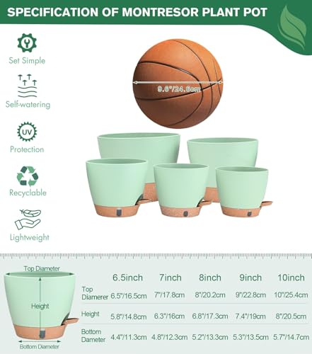 5 Pack Self Watering Pots for Indoor Plants (5 Count)