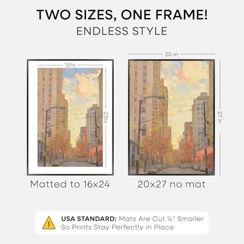 20x27 Black Picture Frame (2 Count)