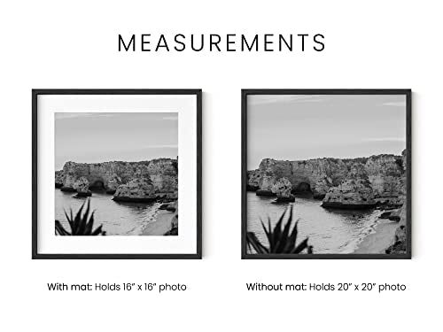 Black Oak Wood 20x20 Picture Frames (6 Count)