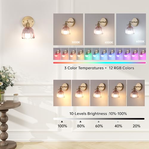 Vintage 5000 mAh Battery Operated Wall Sconce with Pink Clear Tulip Glass Lampshade Rechargeable Battery Powered Wall Light with Remote Control for Bedroom Doorway (2 Count)