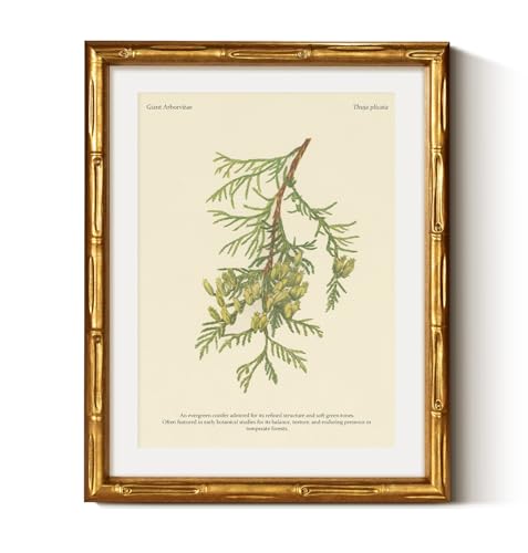 Gold Bamboo Framed Wall Art