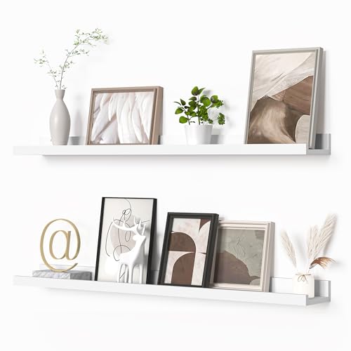 Picture Ledge Shelf (2 Count)