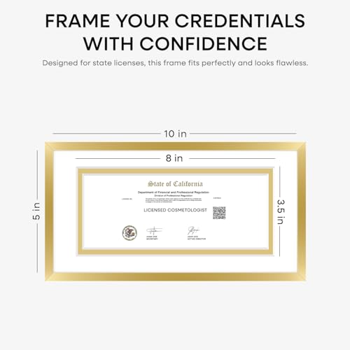 5x10 Gold License Frame (2 Count)