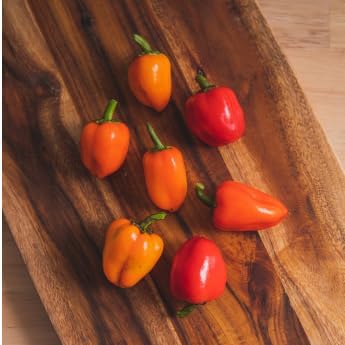 Mini Belle Pepper Mix - Complete Seed Pod Plugs with Plant Food - 10 Pods for Hyrdoponic Gardens, Click and Grow, Lettuce Grow and Outdoor Gardens