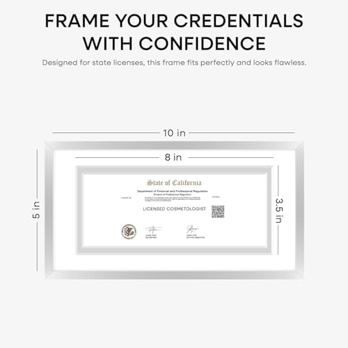 5x10 Silver License Frame