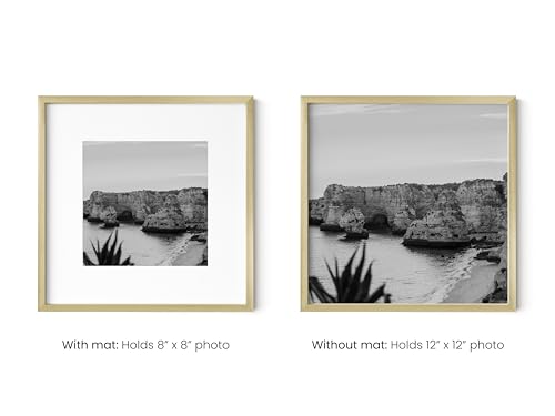 12x12 Gold Metal Picture Frames Matted to 8x8