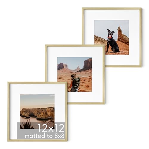 12x12 Gold Metal Picture Frames Matted to 8x8