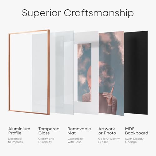 11x14 Rose Diploma Frame (3 Count)