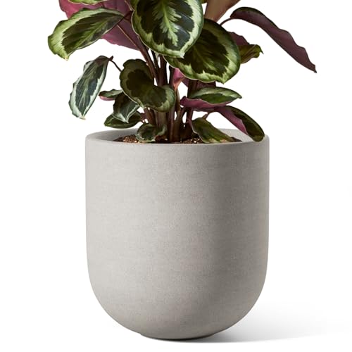 8 Inch Plant Pot