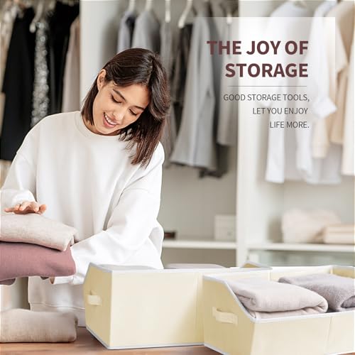 Cube Storage Organizer (4 Count)