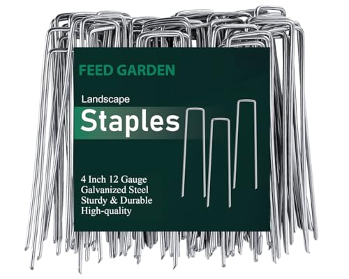 4 Inch 200 Pack Hot (200 Count)