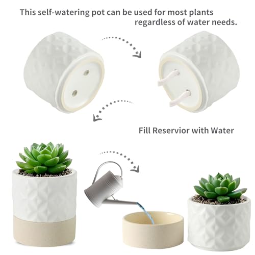 Self Watering Ceramic Plant Pot