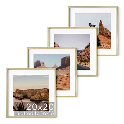 20x20 Gold Metal Picture Frames Matted to 16x16