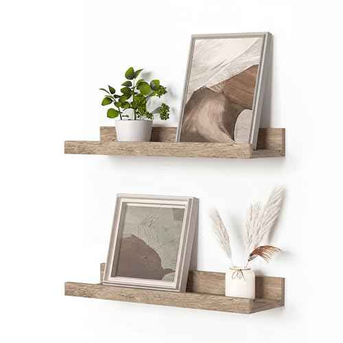 Picture Ledge Shelf (2 Count)