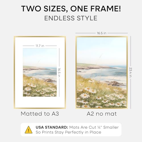 A2 Gold Picture Frame