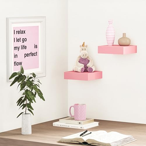 Pink Floating Shelves for Wall (2 Count)