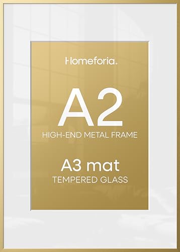 A2 Gold Picture Frame