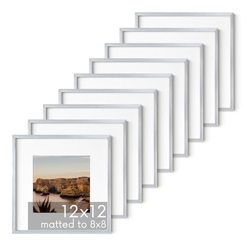 12x12 Silver Metal Picture Frames Matted to 8x8