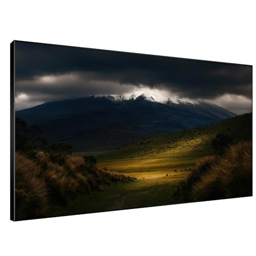 46"x72" Extra Large Framed Wall Art Majestic Snow