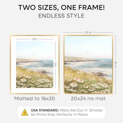 20x24 Gold Picture Frame