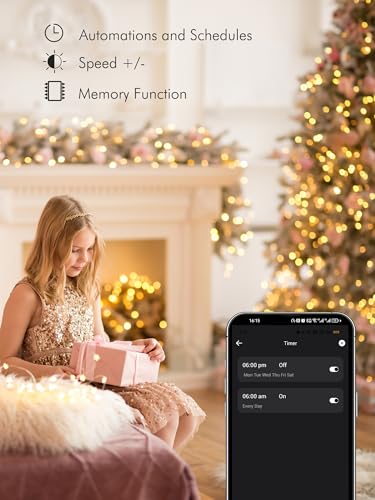 Smart RGB Fairy Lights 100 LED