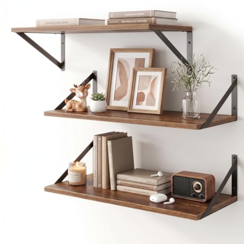 Floating Shelves 24 Inch Long