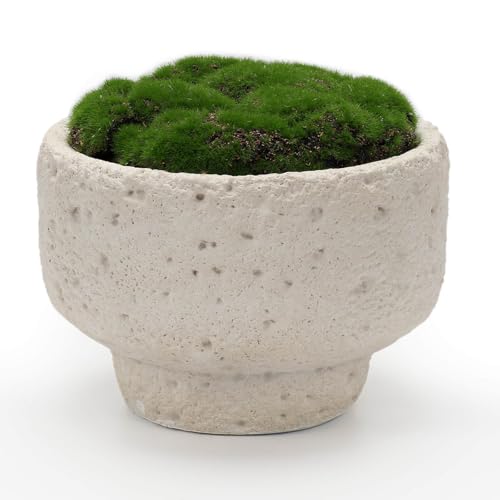 New Moss Bowl