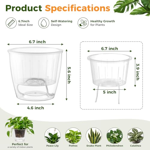 Clear Self Watering Pots for Indoor Plants (6 Count)