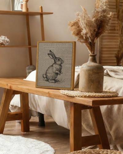 Framed Rabbit Wall Art Vintage Newspaper