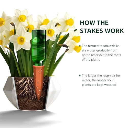 Large Terracotta Watering Spikes with Lids (4 Count)