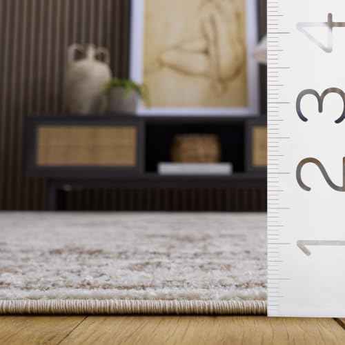 Evoke Accent Rug 4x6 (24 Sq Ft)