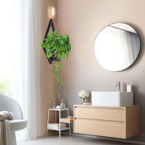 Wall Plant Holder (3 Count)