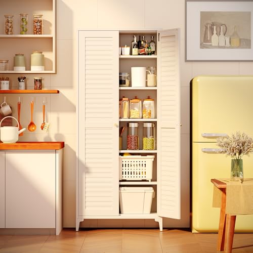Metal Kitchen Pantry Cabinet with 2 Doors