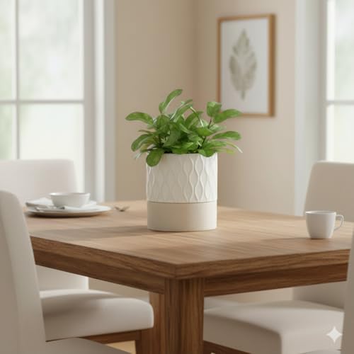 Ceramic Self Watering Plant Pot for Indoor Plants