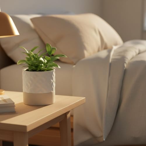 Self Watering Ceramic Plant Pot