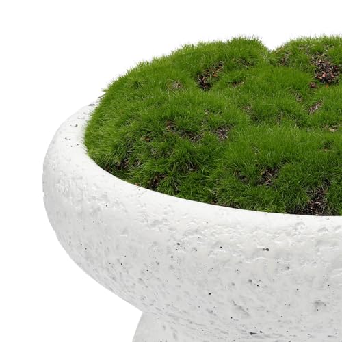 6'' Handmade Cement Bowl