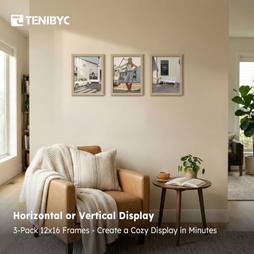 12x16 Picture Frame 3 Pack (3 Count)