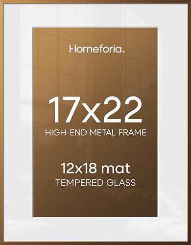 17x22 Bronze Picture Frame