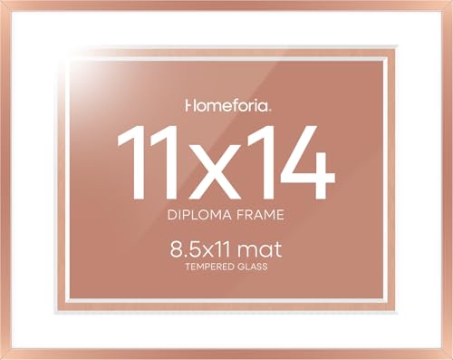 11x14 Rose Diploma Frame (2 Count)