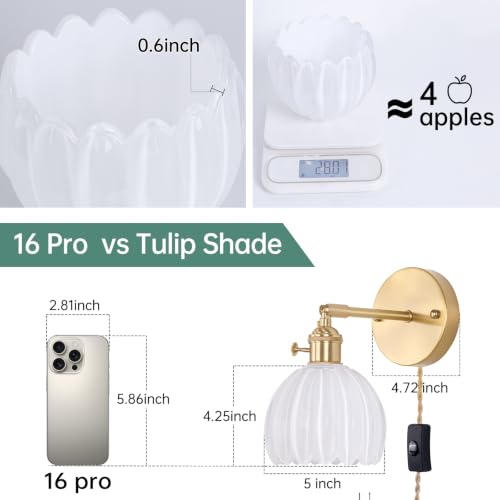 Plug in Wall Sconce