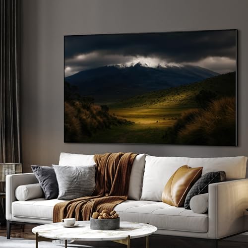 46"x72" Extra Large Framed Wall Art Majestic Snow