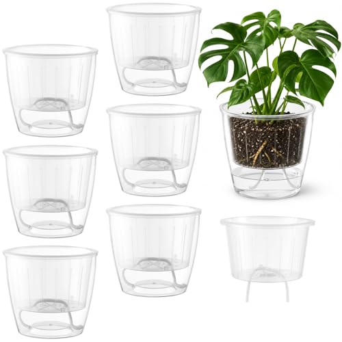 Clear Self Watering Pots for Indoor Plants (6 Count)