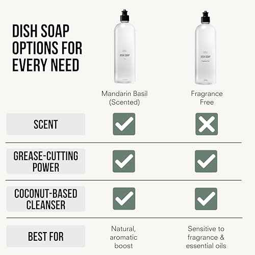 Natural Fragrance Free Dish Soap (16 Fl Oz)