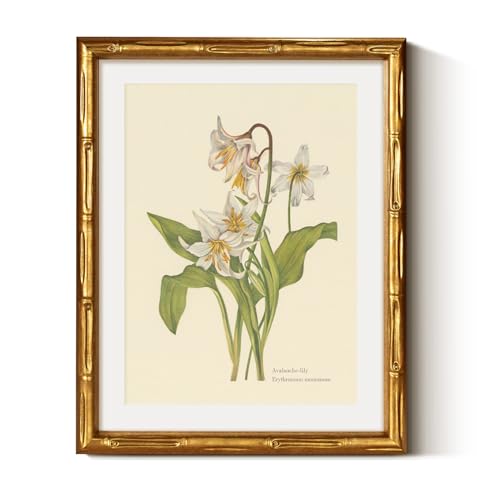 Gold Framed Bamboo Wall Art