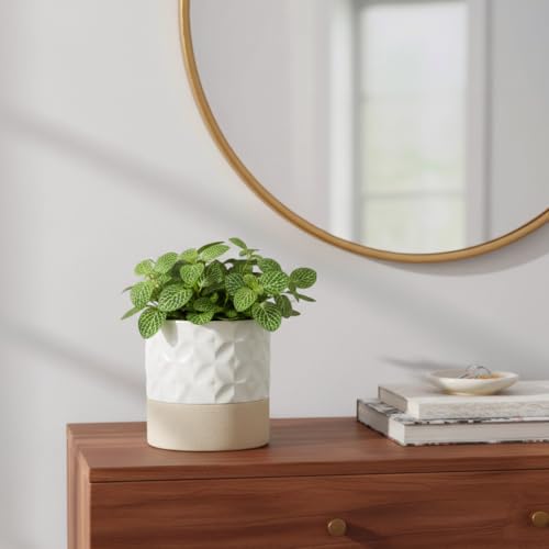 Self Watering Ceramic Plant Pot