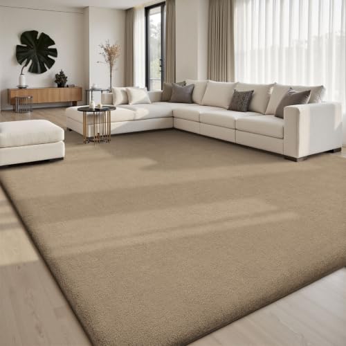 Area Rugs 9x12 for Living Room Bedroom (112 Sq Ft)