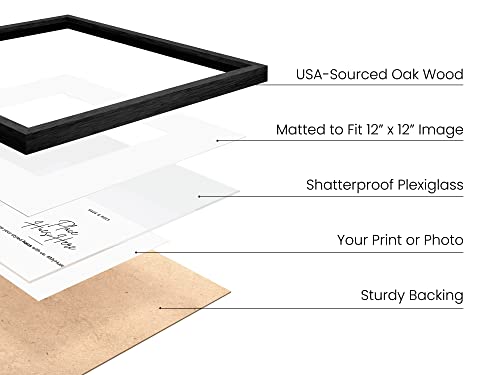 Black Oak Wood 16x16 Picture Frame